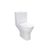 Ванная комната Керамическая сантехника Двухкомпонентный совмещенный туалет Туалет - SD302