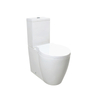 Самый продаваемый дизайн ванной комнаты Унитаз с умывальником - SD903